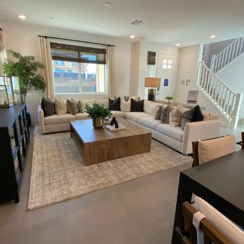 Apartment Renovation